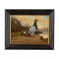 Racing Pigeon Portrait, Billy by Andrew Beer, Oil on canvas (lined), sold Feb 2024