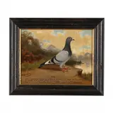 Racing Pigeon Portrait, Billy by Andrew Beer, Oil on canvas (lined), sold Feb 2024