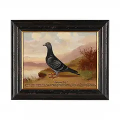 Racing Pigeon Portrait, Swift and Sure by Andrew Beer, Oil on canvas (lined), sold Feb 2024
