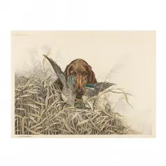 Bird Dog (Irish Setter with Winter Teal) by Léon Danchin, Hand-colored etching and aquatint, sold Feb 2024