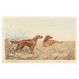 Irish Setters in the Field by Léon Danchin, Etching and aquatint in colors, sold Feb 2024