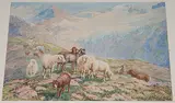 Weidende Schafe auf der Alp by Jakob Henri Fischer-Hinnen, watercolor, offered Dec 2016