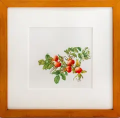 Rose Hips by Jessica Tcherepnine, 2000, Watercolor on Paper, sold Mar 2025