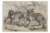 Untitled by Jan Fyt, print (other), offered Oct 2022