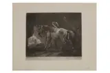 Untitled by Nicolaas Verkolje, print (other), offered Oct 2022