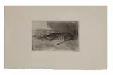 Untitled by Eugène Delacroix, etching, offered Oct 2022