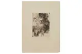 Untitled by Anders Zorn, etching, offered Oct 2022