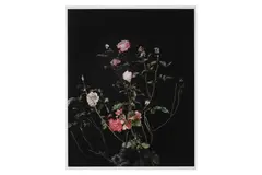 Untitled by Sarah Jones, print, offered Oct 2022