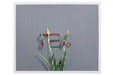 Untitled by Annette Kelm, print, offered Oct 2022