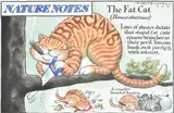 Untitled by Peter Brookes, Pen, ink and watercolour, sold Aug 2020