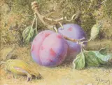 Still life with fruitWatercolours, a pairBoth signed lower rightEach 11 x 15cm (4¼ x 5¾ in.) (2) by William Hough, watercolor, sold Jun 2020