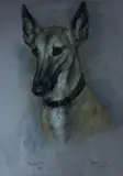 Portrait of a dog by Marjorie Cox, 1992, pastel, offered Nov 2021