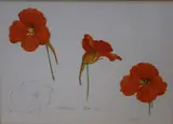 Nasturtium, Agra, 7/1/75 by Graham Rust, pencil and watercolour, sold Nov 2021