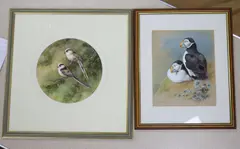 Puffins by G Kirby, gouache, sold Nov 2021