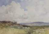 Sheep in a landscape by Charles Piggot, watercolour, sold Nov 2021