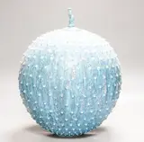 urchin' globe jar and cover, 35cm by Peter Beard, photograph, sold Nov 2021