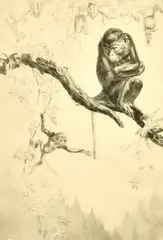 No Monkeying by Leonard Robert Brightwell, etching, offered Feb 2023