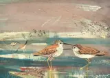 Red Shanks by John Martin, watercolour and gouache, sold Jan 2023