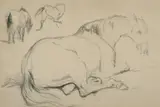 A horse lying down and separate studies of the horse in different by George Jones, watercolor, offered Jan 2023