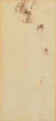 Botanical Drawing, The Plant and Movement by Alan Reynolds, ink, sold Jan 2023