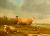 Belgian, a study of sheep in an open landscape by Eugène Verboeckhoven, oil, sold Dec 2022