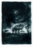Limited edition etching by Eirian Llwyd, etching, sold Dec 2018