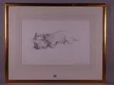 Print - sleeping West Highland terrier by William Selwyn limited edition, print, sold Nov 2018