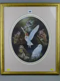 The Beauty of Owls by Kim Thompson limited edition, print, sold Oct 2018