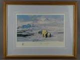 Ice Wilderness by David Shepherd Obe limited edition, print, sold Jul 2018