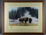 Print - titled 'The Hot Springs of by David Shepherd Obe framed limited edition, print, sold Jul 2018