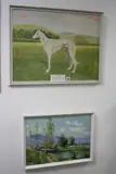 'Cahara Rover', study of a Brindle Greyhound, watercolour, signed and dated 1966 lower by C. Short, 1966, watercolour, sold Mar 2017
