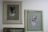 dog portrait studies Ricky and Tiny, pastel, both signed lower by Dorothy S Hallett, pastel, sold Feb 2017