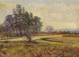 The road across Southampton Common to Highfield Signed and titled on a by R. McFadden, Oil on canvas, offered Jun 2016