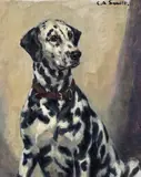 Dalmation Signed Oil on canvas 50 x 40cm ++Unlined, good condition by Cornelius Arnold Smitt, Oil on canvas, offered Jun 2016