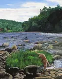 Otter and salmon Signed Oil on board 76 x 60cm ++Good condition by Douglas Anderson, Oil on board, offered Jun 2016