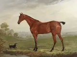 A chestnut horse in a landscape with terrier by William Webb, oil on canvas, offered Oct 2013