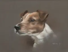 Jack Russell Terrier by John Naylor, pastel, offered Oct 2013
