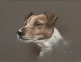 Jack Russell Terrier by John Naylor, pastel, offered Oct 2013