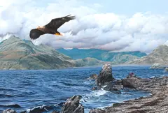 The White Tailed Sea Eagle by Alan M. Hunt, gouache, sold Oct 2013