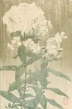 Phlox (White Hydrangea) by Edna Boies Hopkins, c. 1907, woodcut print, sold Dec 2021