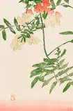 Acacia by Edna Boies Hopkins, woodcut print, sold Dec 2021