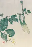 Pea Pods by Edna Boies Hopkins, c. 1906, woodcut print, sold Dec 2021
