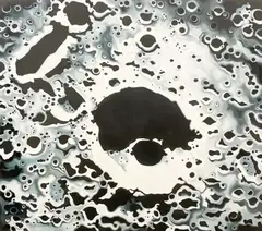 Apollo 8 Moon View by Lowell Nesbitt, 1970, oil on canvas, sold Dec 2021