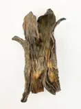 Corn Husk Wall Mounted Sculpture III by Seena Donneson, 2008, bronze with applied brown patina, sold Dec 2021