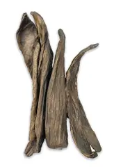 Corn Husk Wall Mounted Sculpture II by Seena Donneson, bronze with applied brown patina, sold Dec 2021