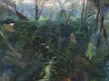 Forest With Ferns, Tallanbanna by William Robinson, 2003, oil on linen, sold Sep 2010