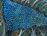 Beechmont With Starry Night by William Robinson, 1986, oil on canvas, sold Apr 2011