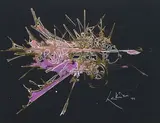 Composition by Georges Mathieu, 1979, Gouache sur carton, sold Jun 2015