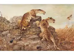 Leoparden Beim Ausspähen von Beute by George Majewicz, oil on canvas, offered Dec 2023