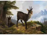 Zwei Gämsen in Gebirgslandschaft by August Schleich, oil on canvas, offered Jun 2023